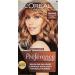 L'Or al Preference Balayage for dark blonde to light brown hair - Buy Online on GoSupps.com