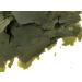 Herons - Spirulina Forte Flakes - for All Tropical and Marine Fish - 30% Spirulina Platensis Algae - Mbuna Cichlids - Flake Food with Prebiotics - Color and Immunity - 300 g