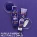 L'Oreal Elvive Color Vibrancy Purple Shampoo 6.7 fl oz | Toning & Brightening for Color-Treated Hair - Buy Online on GoSupps.com