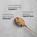 Nature's Path Organic Blueberry Cinnamon Flax Instant Oatmeal - Non-GMO, 27g Whole Grains, 5g Plant Protein, 11.3oz, Pack of 6 - Buy Online on GoSupps.com