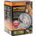 Exo Terra Intensive Sun Spot Lamp 150W - Pack of 2 | High-Performance Reptile Lighting for Optimal Habitat - Buy Online on GoSupps.com