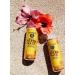Guayaki Yerba Mate Sparkling Clean Energy Drink 12oz Cans (Pack of 12) - Organic Classic Gold with 120mg Caffeine - Buy Online on GoSupps.com
