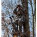 Leap Outdoors Binocular Harness Chest Pack - Hands-Free Convenience for Outdoor Enthusiasts - Buy Online on GoSupps.com