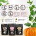 Premium Select Line by SuperSeedz | Pumpkin Seeds with Vermont Maple Sugar & Sea Salt | Vegan, Keto, Whole 30 | 8g Plant Based Protein | Nut & Gluten Free Snack | Made in USA | 4oz (Pack of 6) - Buy Online on GoSupps.com