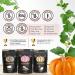 Dark Chocolate & Sea Salt Pumpkin Seeds | Premium Select Line by Superseedz | Vegan, Keto, Whole 30 | 7g Plant Based Protein | Nut & Gluten Free | Made in USA | 4oz x 6 Pack - Buy Online on GoSupps.com