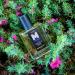 OUD TO A ROSE MEN'S COLOGNE- THE MAN SHOP- AN OUD AND ROSE UNISEX SCENT THAT LASTS FOR 12+ HOURS FOR OUD LOVERS - Buy Online on GoSupps.com
