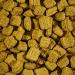 Kaytee Forti-Diet Pro Health Biscuit Treat for Large Hookbills - 10oz (1 Pack) - Buy Online on GoSupps.com