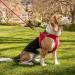 Magnetic Vest Harness Air-Mesh V2 Red M - Comfortable & Stylish Striped Design for Pets | International Shipping - Buy Online on GoSupps.com