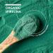 Organic Spirulina 1000mg - 300 Vegan Tablets | Pure & Certified Organic Non-GMO Gluten Free Halal - Alpha01 - Buy Online on GoSupps.com