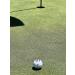 VISUALIZE Golf Ball Marker Family - TRI-LINE & TRI-LINE Connect w/ Focal Point | Premium Golf Accessories & Gifts for #1 Golfers - Buy Online on GoSupps.com