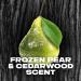 AXE Body Wash Black - Frozen Pear & Cedarwood, 4-Pack | 12H Refreshing Cleanser with Plant-Based Moisturizers - Buy Online on GoSupps.com