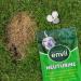 Envii Neuturine Natural Dog Urine Neutraliser Tablets for Grass Lawn Repair & Pet Safe (12 Count) - Buy Online on GoSupps.com