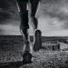 Millenti Knee Brace Compression Sleeve - Side Stabilizers & Patella Gel Pad - Black Blue Medium | Size M - International Shipping Available - Buy Online on GoSupps.com