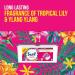 Surf Tropical Lily 3 in 1 Capsules - 81 Washes - Buy Online on GoSupps.com