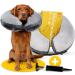 Tierhood - inflatable break ruff for dogs & cats protectively Leck protection dog - dog collar - protective collar dog - neck collar dog - dog collar - frizzy dog - sore crause (l)