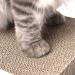 Coching Premium Cardboard Cat Scratcher Pad | Durable Scratching Surface | Reversible Design | Medium Size - White - Buy Online on GoSupps.com