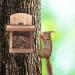 Relaxdays Squirrel Feeder - FSC-Certified Natural Wood, Folding Roof, Ventilation Holes - Hanging Feeding Station - Buy Online on GoSupps.com