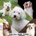 Wahl White Pear Brightening Shampoo for Pets 24 oz - Whitening, Odor Control & Silky Results - Buy Online on GoSupps.com