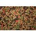 Buy Tomodachi Sen-Sui Koimix - Premium Koi Food Mix for Healthy Ponds | 4 Colors 15mm Pellets Spirulina & More - International Shipping - Buy Online on GoSupps.com