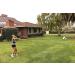 Hit-N-Serve Volleyball Trainer - Solo Practice Tool for Perfecting Your Serve - Buy Online on GoSupps.com