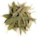 Eucalyptus Losblatt Tea Biodegrading - Eucalyptus herb tea organic eucalyptus eucalyptus tea eucalyptus organic tea eucalyptus 50 g (1 Pack)