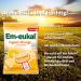 Buy EM-Eggwal Ginger Orange Coughing Candy Sugar-Free 75g | Aromatic Ginger & Refreshing Oranges | Vitamin C Boost | International Shipping - Buy Online on GoSupps.com