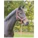 Kerbl Nylon Halter Hippo Nylon Halter for Pony Shetty Full Cob XFull 6 Colors 3 Red