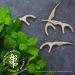 Sustainable Plant-Based Floss Picks (200 Count) by The Humble Co. | Eco-Friendly Dental Hygiene & Gum Health | Cruelty Free | Mint Double Thread - Buy Online on GoSupps.com