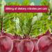 Juice Performer Beet Juice with B12 - Vegan Pre-Workout Superfood, Boost Stamina & Strength (12 Pk, 8.4 Fl Oz) - Buy Online on GoSupps.com