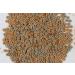 Tetra FunTips Tablets for Fish - 165 Natural Feed Tablets for Aquarium | Optimal Feeding & Observation - Buy Online on GoSupps.com