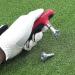JEF World of Golf JR140 2 in 1 Golf Spike Wrench - Easy Grip Tool for Golf Shoe Maintenance - Buy Online on GoSupps.com