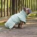 CANICOAT Dog Bathrobe Lavari - 100% Cotton Oeko-TEX Certified Size 1 Mint Green | International Shipping Available - Buy Online on GoSupps.com