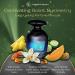 L'Orientale Fragrances Night De Paris in Motion 100ml / 3.3oz - Oil-Based Perfumes for Women & Men Unisex Amber Vanilla Eau de Parfum w/Bergamot - Long-Lasting Up to 24 Hours Ideal for All Seasons - Buy Online on GoSupps.com