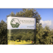 Dibeen Farms extra virgin olive oil 2 liters - cold pressed - Buy Online on GoSupps.com