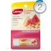 Carmex Comfort Care Colloidal Oatmeal Lip Balm Watermelon Blast .15 oz (4.25 g) - PACK OF 2