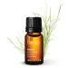 Gya Labs Basil Essential Oil Mind Concentrator for Better Focus & Sore Free Body - 10 ml