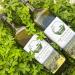 Dibeen Virgin olive oil from Dibeen farms - cold pressed