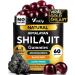 Shilajit Gummies - Himalayan Shilajit Gummies for Men & Women 1000mg - Sugar Free Shilajit Gummies - Natural Shilajit for Healthy Aging Immune Support & Energy Supplements - 60 Count 60 Count (Pack of 1)