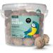 Erdtmann Fat Balls for Wild Birds - Pack of 50 Suet Balls - High-Energy Garden Treat for Wild Birds - Un-Netted Perfect Consistency Ideal for Year-Round Feeding and Easy Food Intake 1 count (Pack of 50)