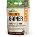 Iron Vegan Athlete's Gainer Chocolate, 10 lbs