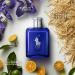 Shop Ralph Lauren Polo Blue Eau de Parfum - 1.36 oz Online - Best Price & International Shipping - Buy Online on GoSupps.com