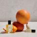 Shop Maison Louis Marie No.09 Vall e de Farney Perfume Oil - 0.50 oz/ 15mL Online - Best Price & International Shipping - Buy Online on GoSupps.com