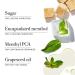 Shop fresh Sugar Mint Rush Freshening Lip Treatment - .15 oz / 4.3 g Online - Best Price & International Shipping - Buy Online on GoSupps.com