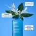Shop belif Aqua Bomb Hydrating Toner with Hyaluronic Acid - 6.75 oz/ 200 mL Online - Best Price & International Shipping - Buy Online on GoSupps.com