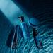 Shop shu uemura Muroto Volume Lightweight Care Conditioner For Fine Hair - 8 oz/ 250 mL Online - Best Price & International Shipping - Buy Online on GoSupps.com