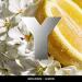 Shop Yves Saint Laurent Y Eau Fraiche - 3.4 oz/ 100 mL Online - Best Price & International Shipping - Buy Online on GoSupps.com