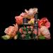 Shop NEST New York Wild Poppy Perfume Set Online - Best Price & International Shipping - Buy Online on GoSupps.com