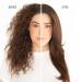 Shop Drybar Full Keg Boar Bristle Brush Online - Best Price & International Shipping - Buy Online on GoSupps.com
