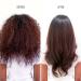 Shop Drybar Full Keg Boar Bristle Brush Online - Best Price & International Shipping - Buy Online on GoSupps.com