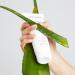 Shop Dr. Barbara Sturm Aloe Vera Gel - 4.2 oz/ 125 mL Online - Best Price & International Shipping - Buy Online on GoSupps.com